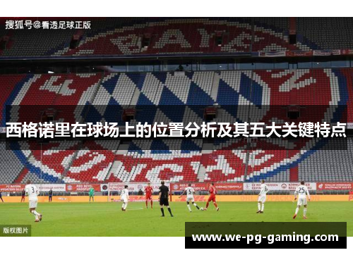 西格诺里在球场上的位置分析及其五大关键特点 西格诺里在球场上的位置分析及其五大关键特点