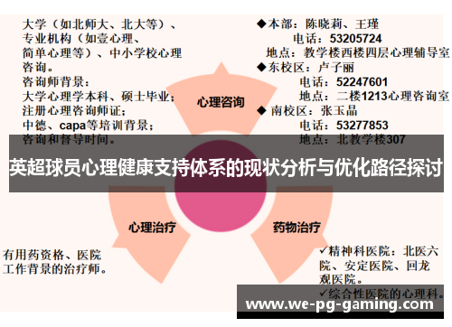 英超球员心理健康支持体系的现状分析与优化路径探讨