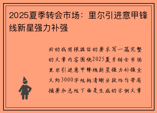 2025夏季转会市场：里尔引进意甲锋线新星强力补强